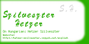 szilveszter hetzer business card